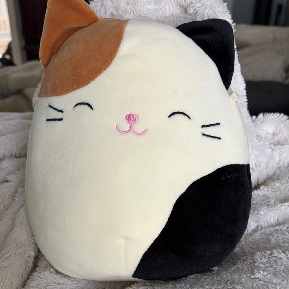 Cam Calico Cat Squishmallows 8 inch Plush Toy